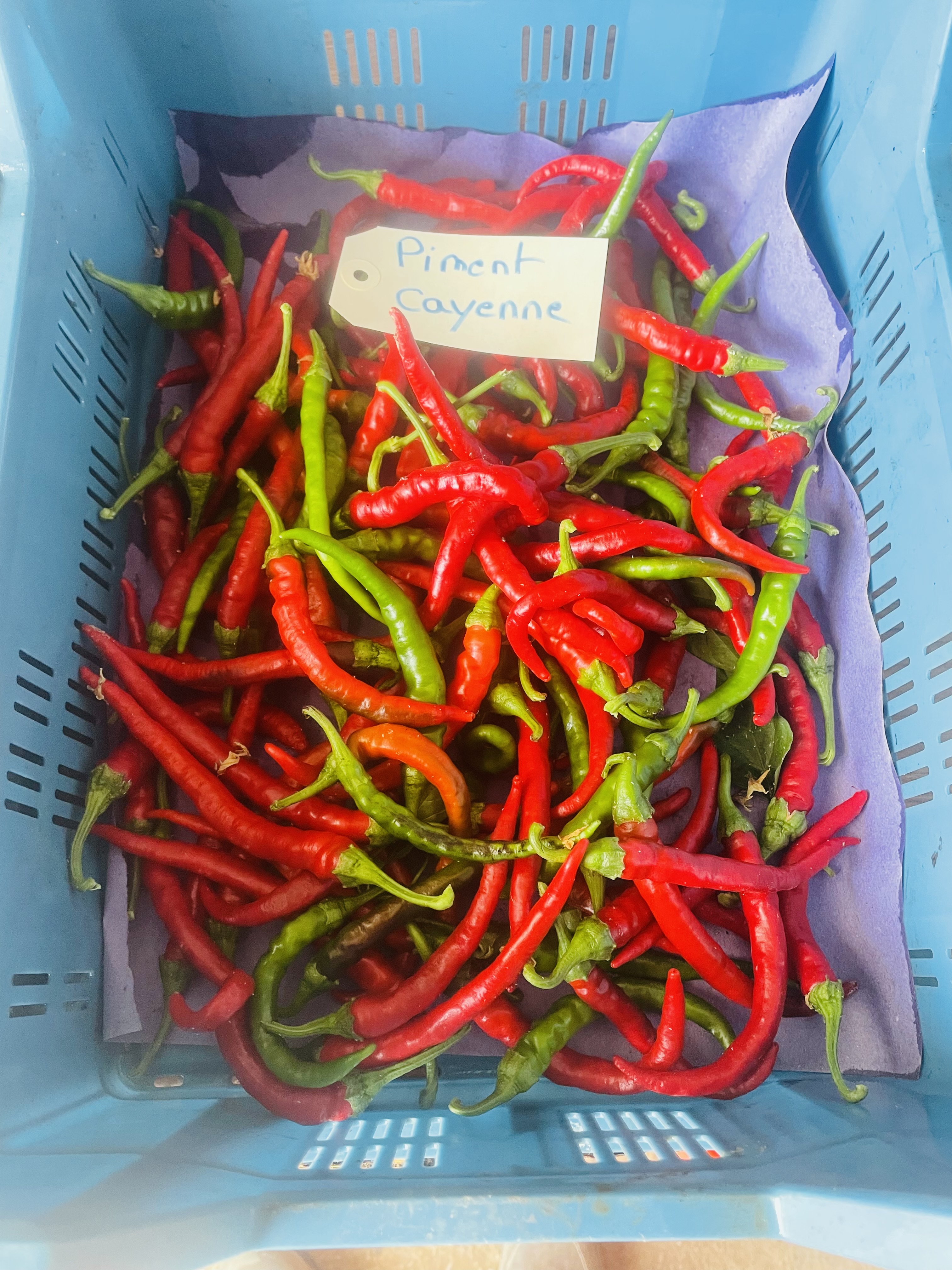 Image du produit